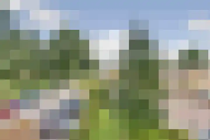 De Stag 96 Dronten thumbnail 22