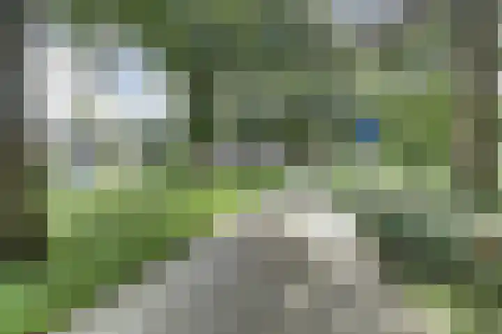 De Stag 96 Dronten thumbnail 24