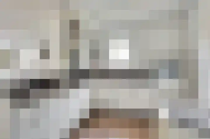 De Stag 96 Dronten thumbnail 9