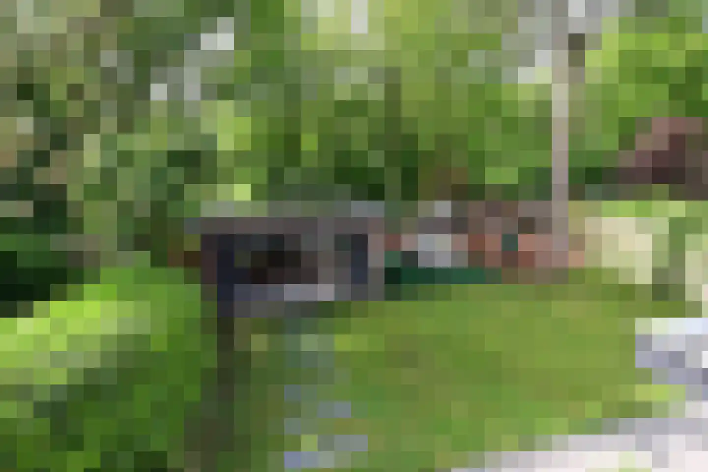 de Staken 26 Blaricum thumbnail 14