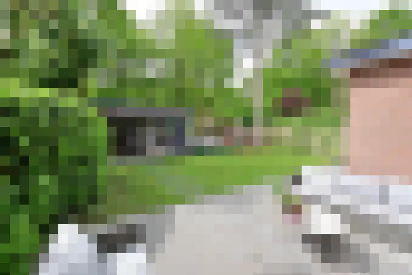 de Staken 26 Blaricum thumbnail 22