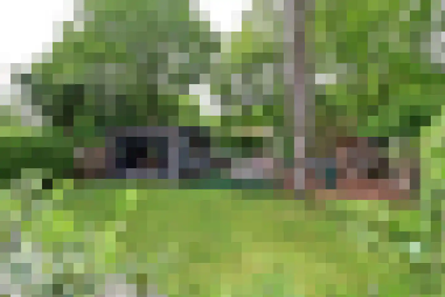 de Staken 26 Blaricum thumbnail 23