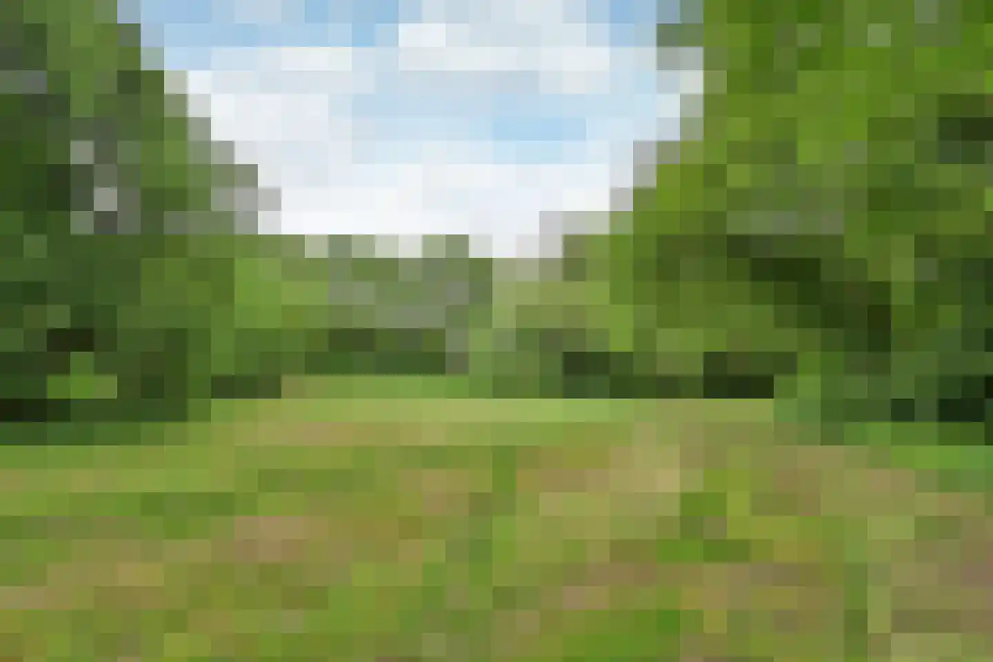 de Staken 26 Blaricum thumbnail 27