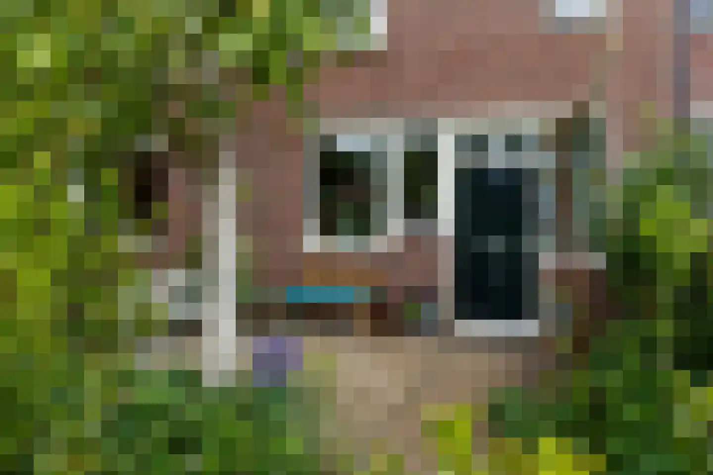 De Stalen Boog 24 Werkhoven thumbnail 7