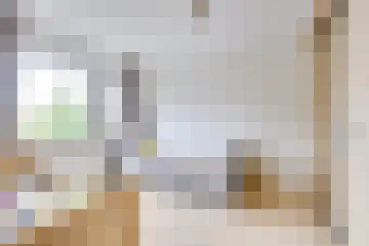De Stalen Boog 6 Werkhoven thumbnail 22
