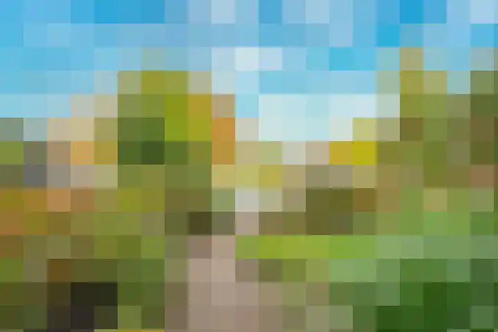 De Stalen Boog 6 Werkhoven thumbnail 33