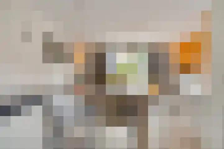 De Stampertjes 16 Kapelle thumbnail 16