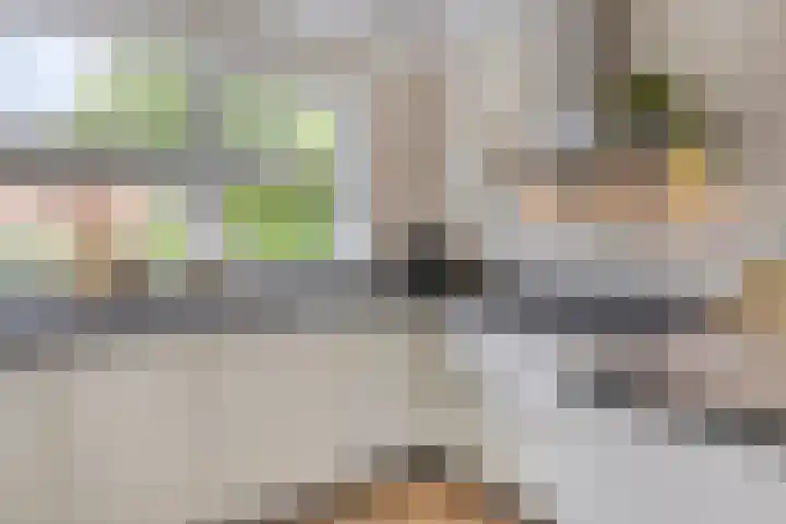 De Stampertjes 16 Kapelle thumbnail 19