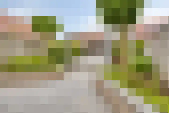 De Stampertjes 16 Kapelle thumbnail 39