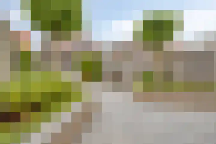 De Stampertjes 16 Kapelle thumbnail 40