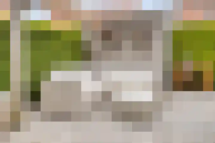 De Stampertjes 16 Kapelle thumbnail 41