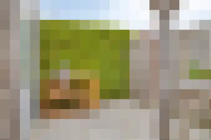 De Stampertjes 16 Kapelle thumbnail 42