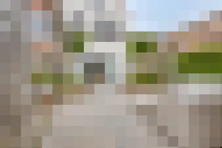 De Stampertjes 16 Kapelle thumbnail 43