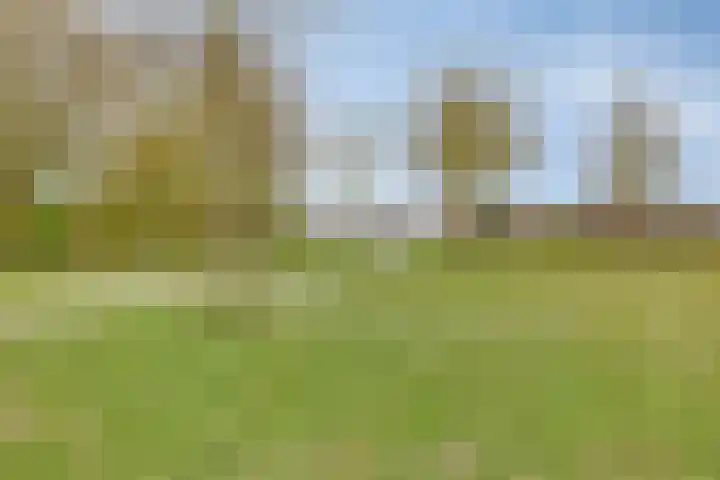 De Stampertjes 16 Kapelle thumbnail 47