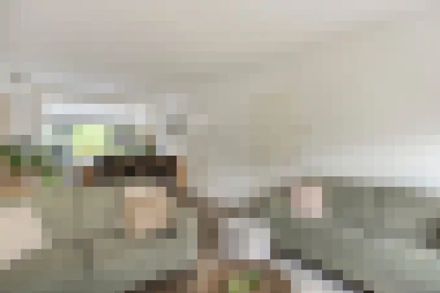 De Stappert 15 Someren thumbnail 15
