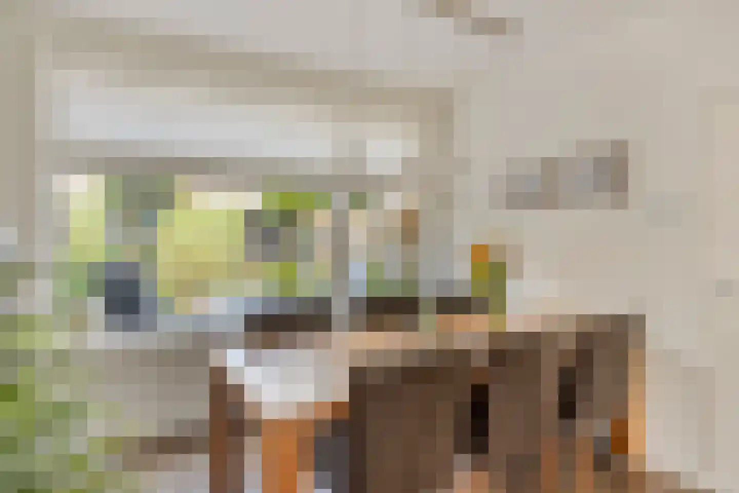 De Stappert 15 Someren thumbnail 17