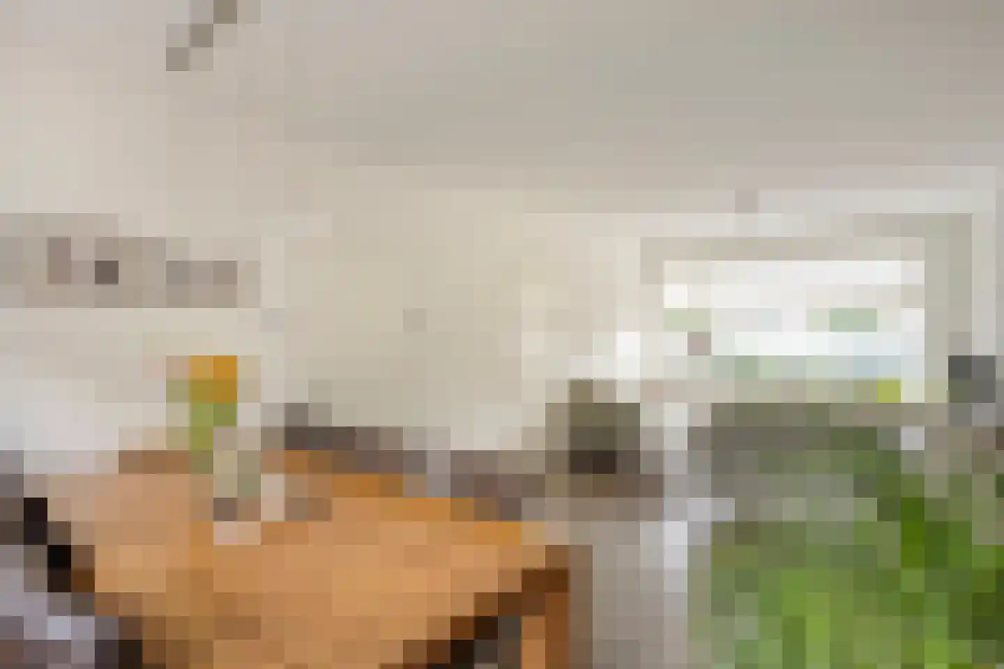 De Stappert 15 Someren thumbnail 18