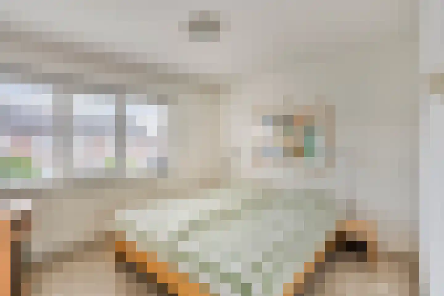 De Stappert 15 Someren thumbnail 23