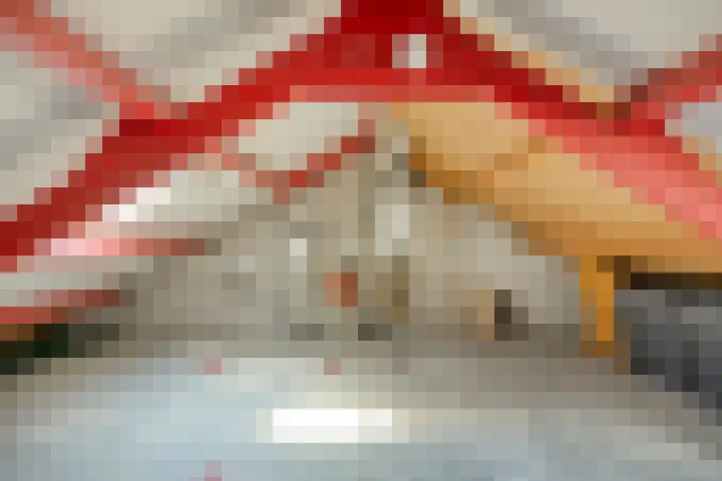 De Stappert 15 Someren thumbnail 32
