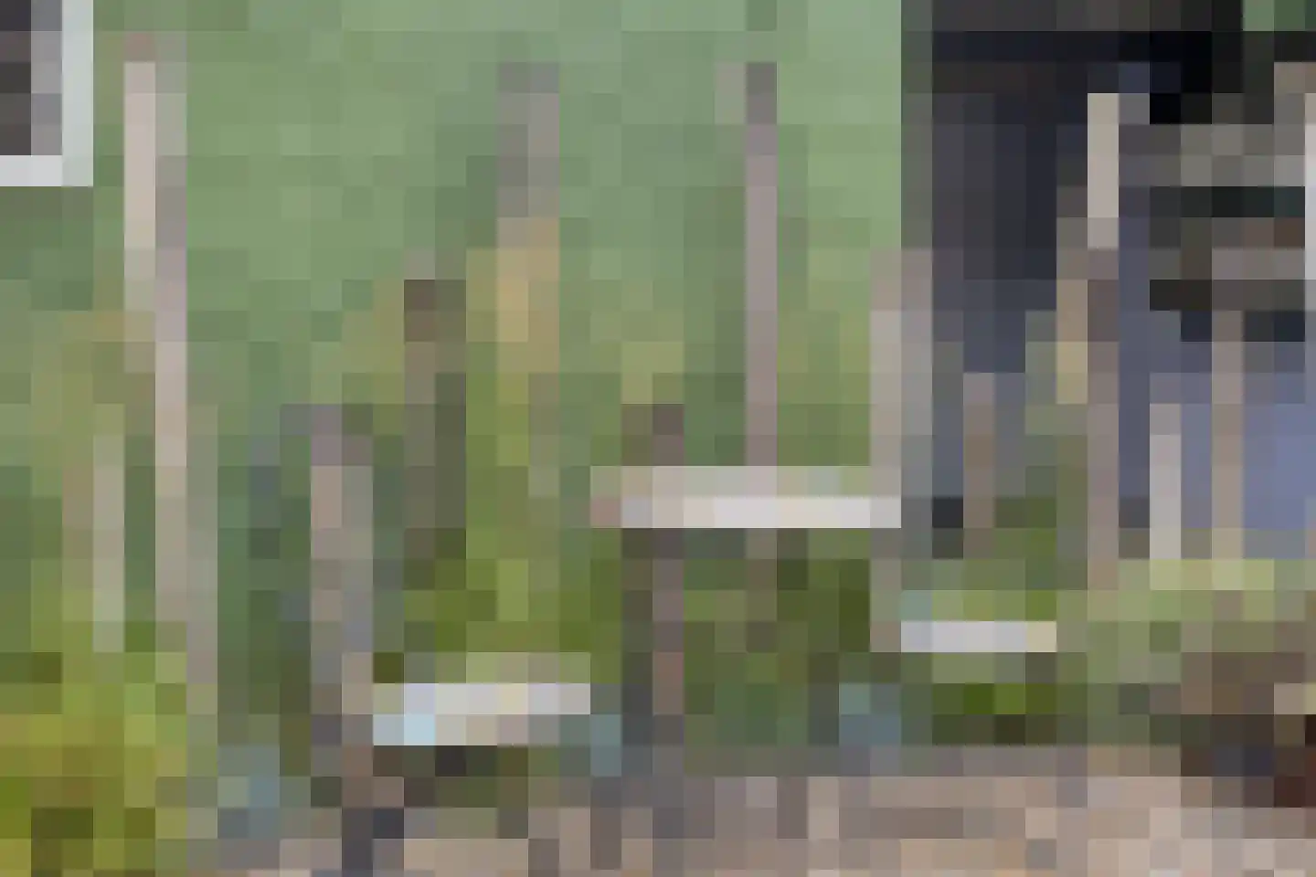 De Stappert 15 Someren thumbnail 36