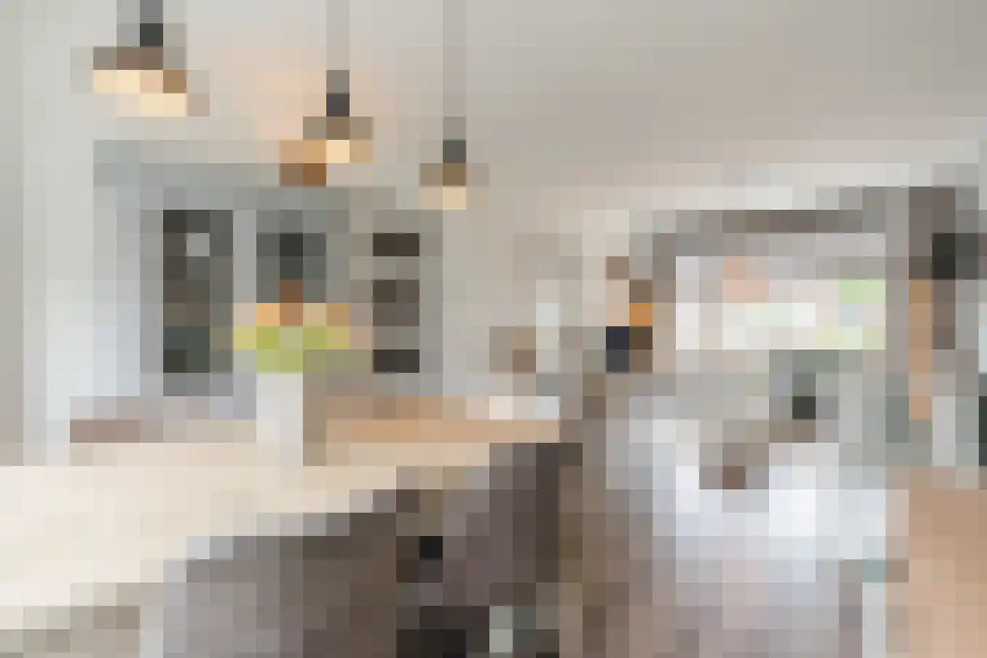 De Stappert 19 Someren thumbnail 9