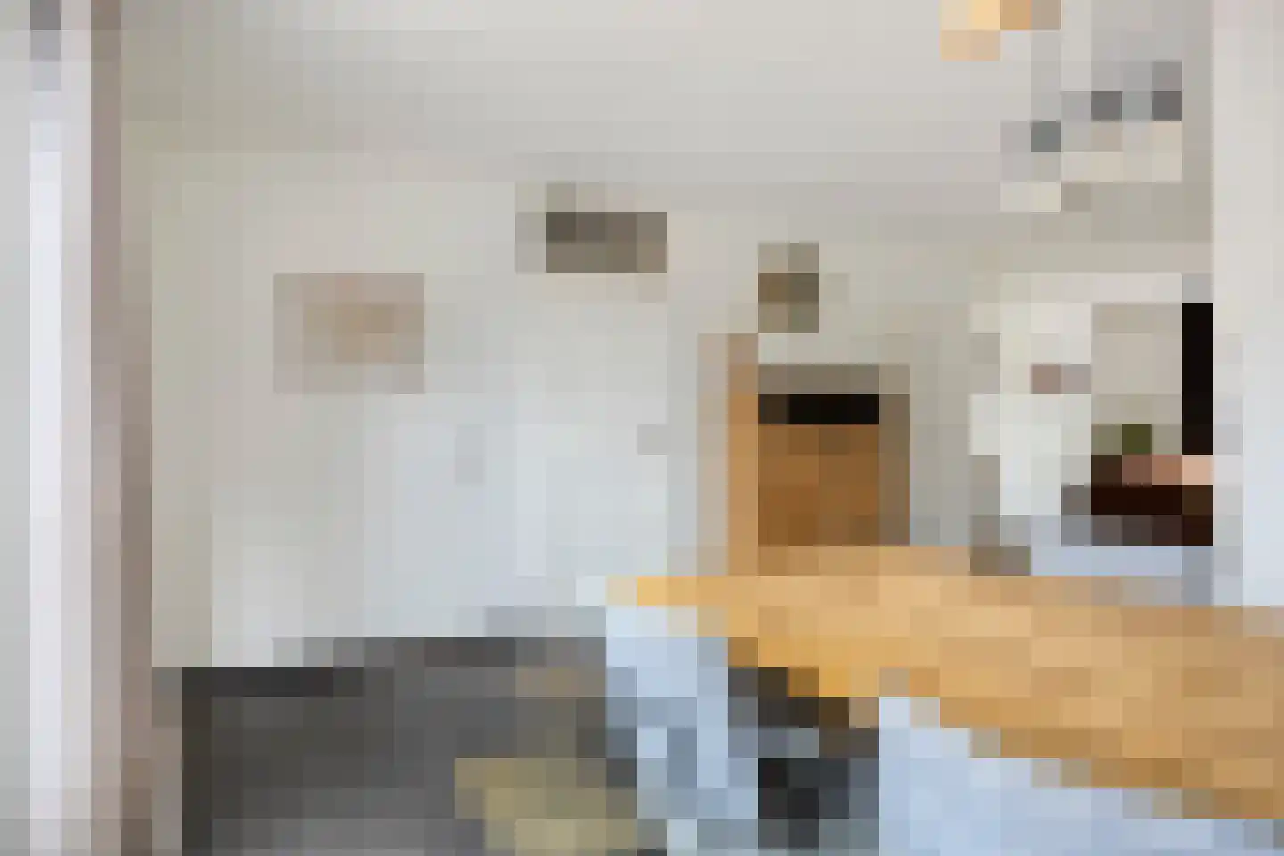 De Stappert 43 Moergestel thumbnail 10