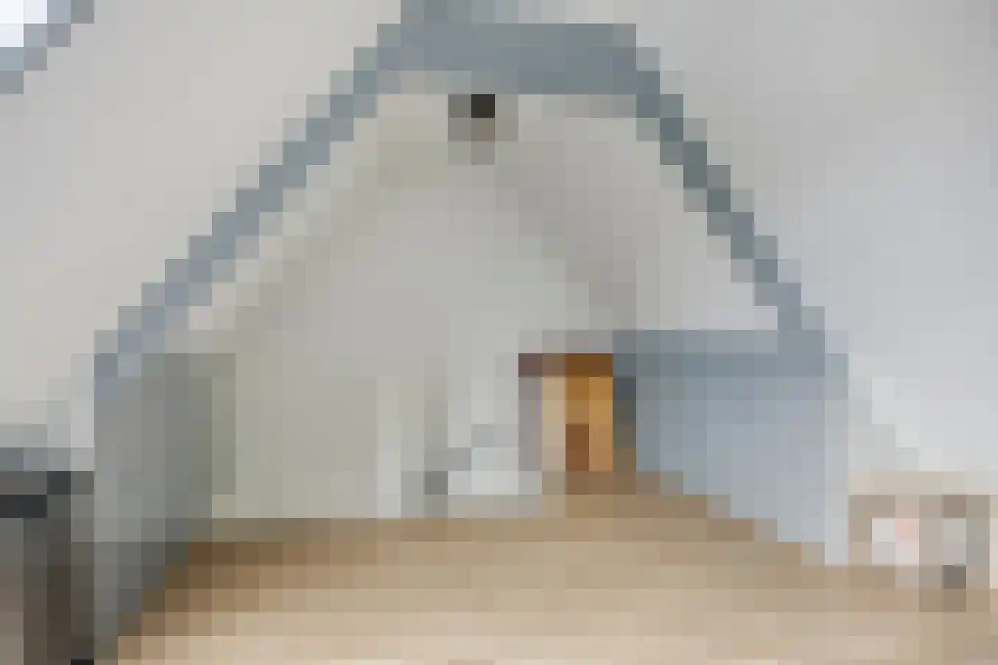 De Stappert 43 Moergestel thumbnail 27