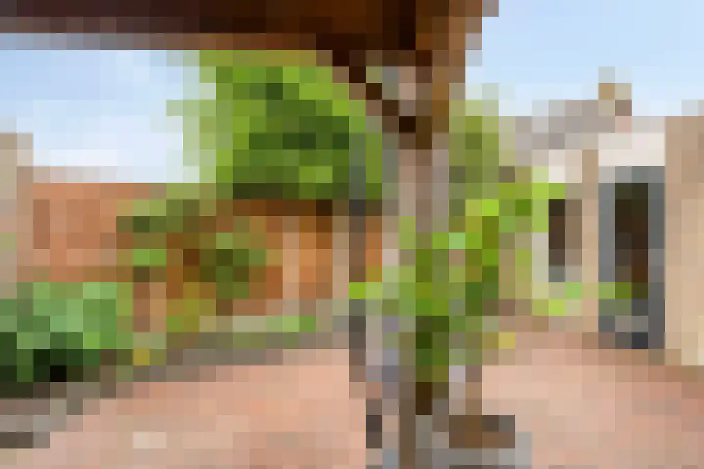 De Stappert 43 Moergestel thumbnail 31