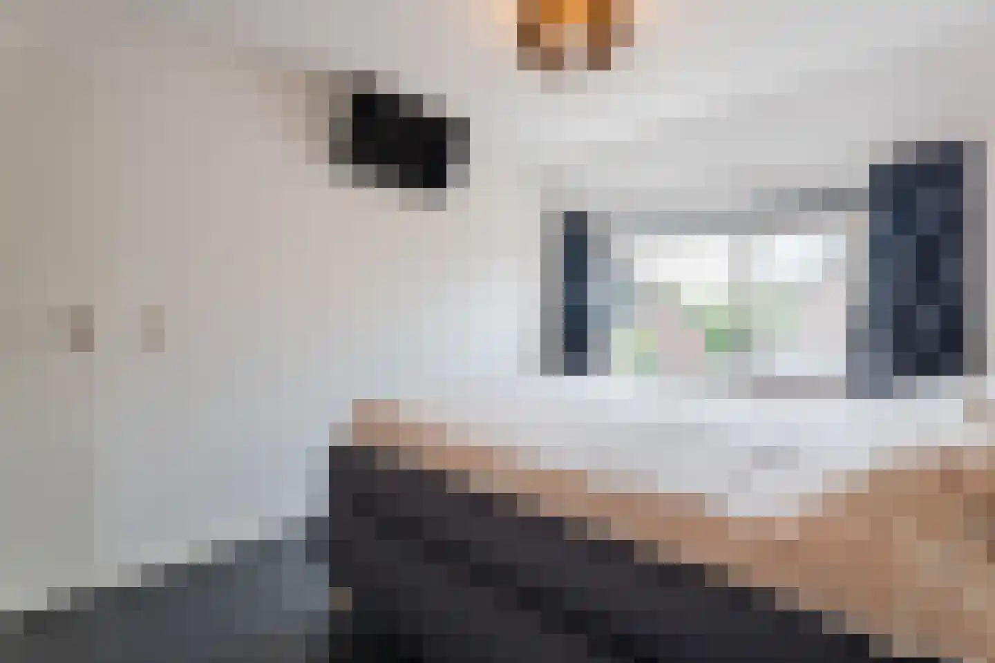 De Stappert 5 Haps thumbnail 13