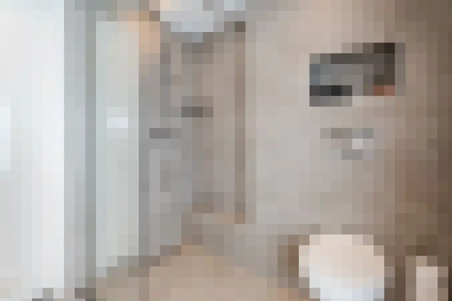 De Stappert 5 Haps thumbnail 19