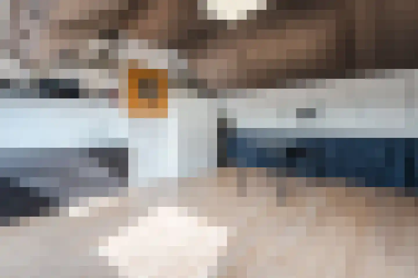 De Stappert 5 Haps thumbnail 21