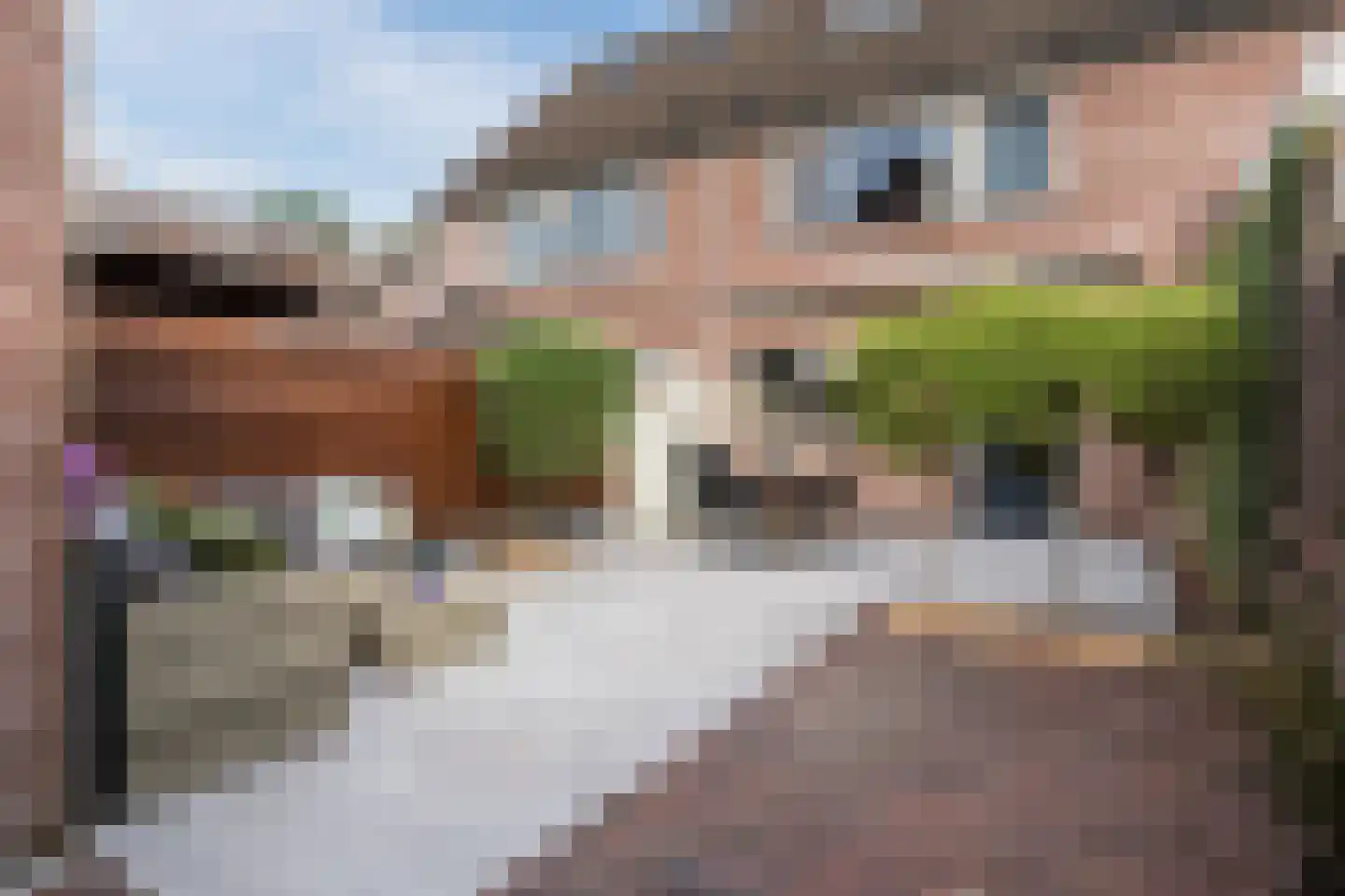 De Stappert 5 Haps thumbnail 26