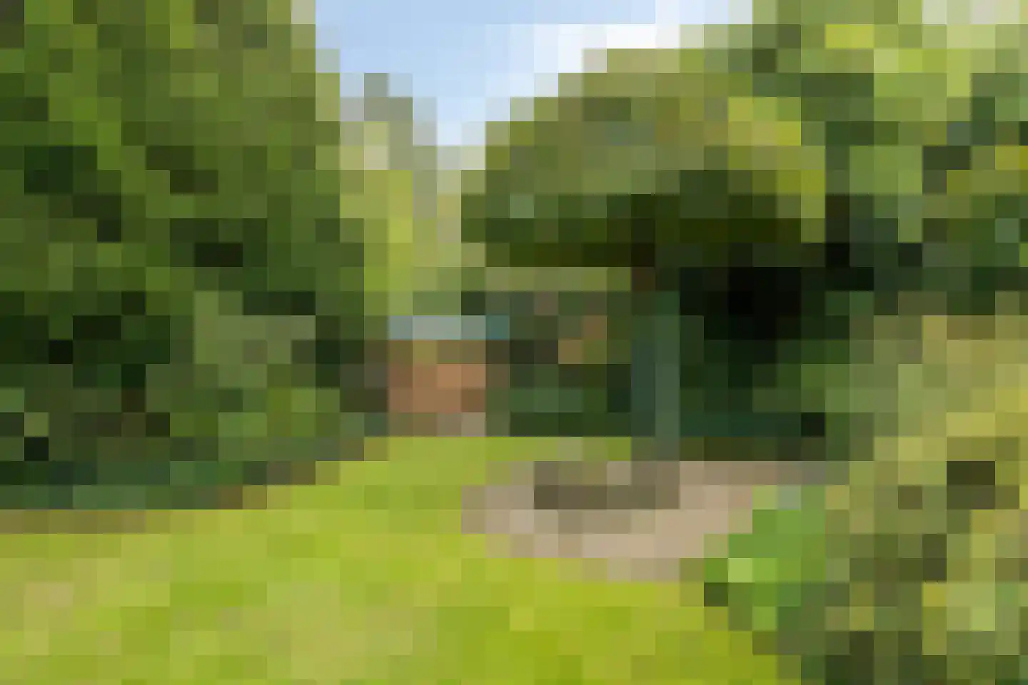 De Stappert 8 A Moergestel thumbnail 32