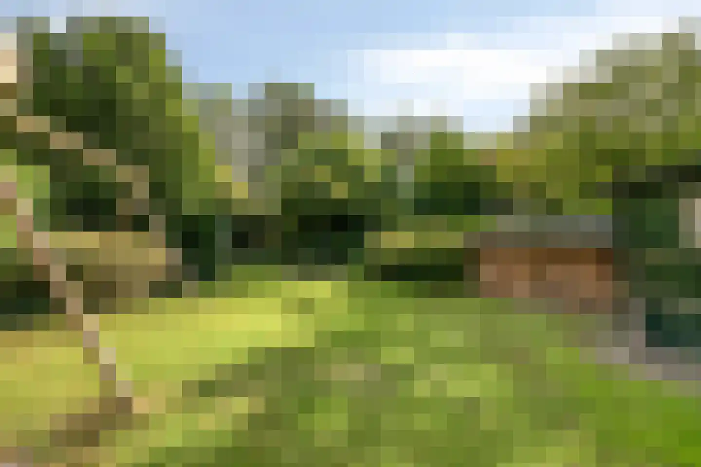 De Stappert 8 A Moergestel thumbnail 38