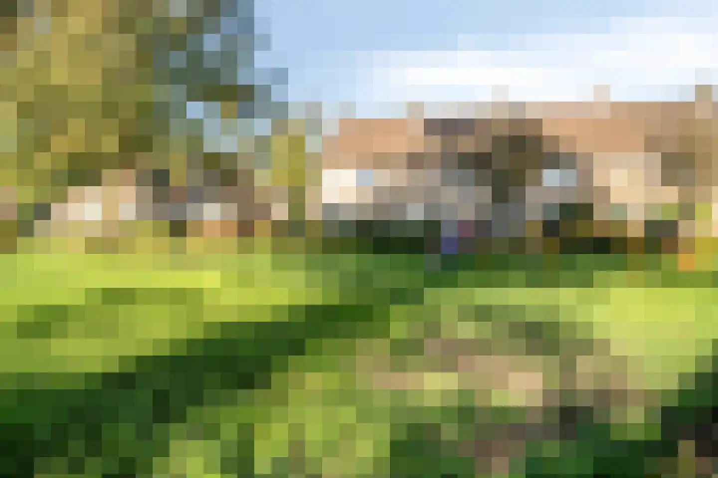 De Stappert 8 A Moergestel thumbnail 45