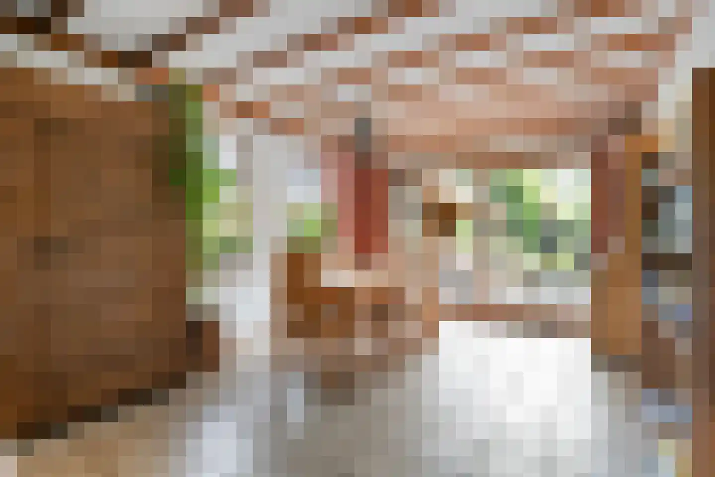 De Stappert 8 A Moergestel thumbnail 6