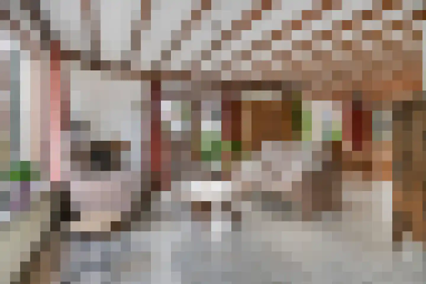 De Stappert 8 A Moergestel thumbnail 8