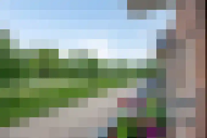 De Start 30 Leusden thumbnail 10