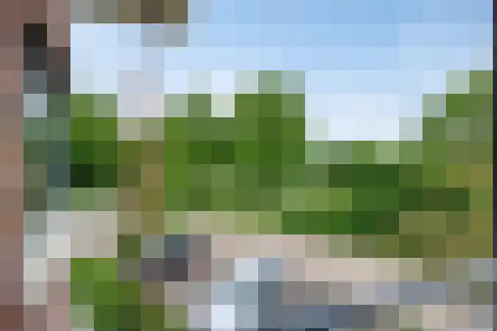 De Start 30 Leusden thumbnail 11