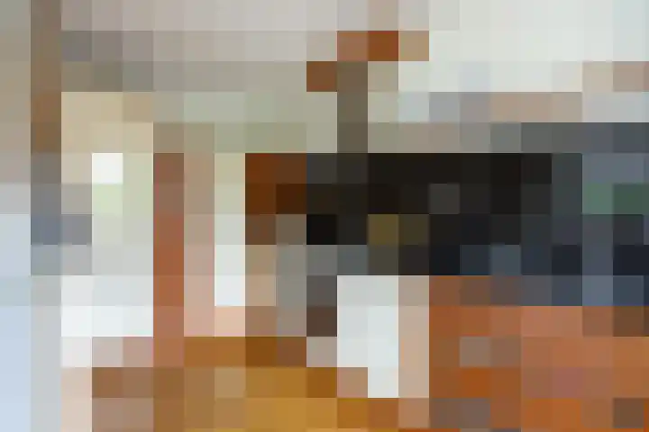 De Start 30 Leusden thumbnail 13