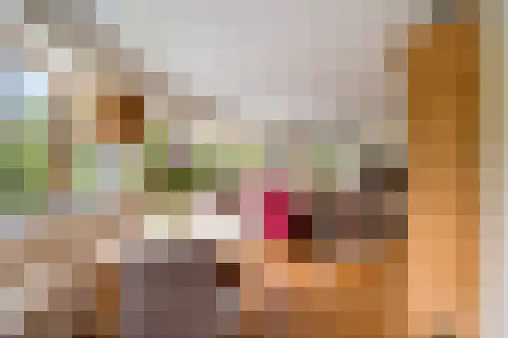 De Start 30 Leusden thumbnail 16