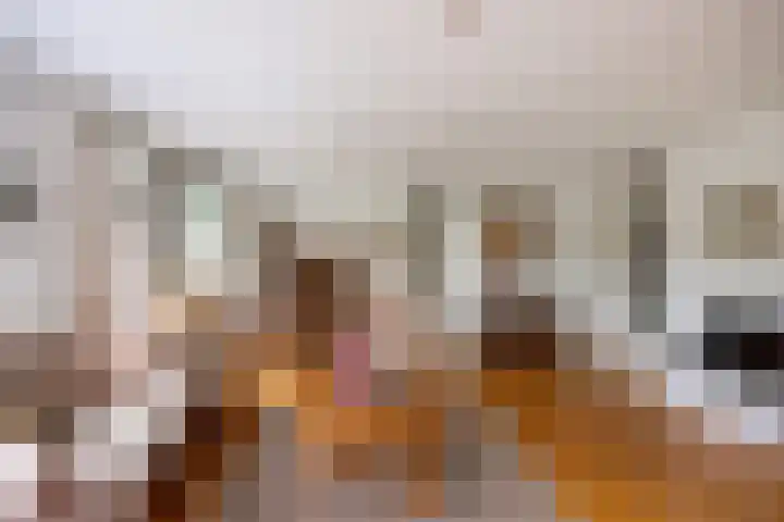 De Start 30 Leusden thumbnail 17