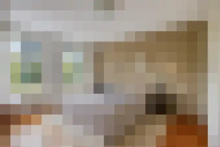 De Start 30 Leusden thumbnail 18
