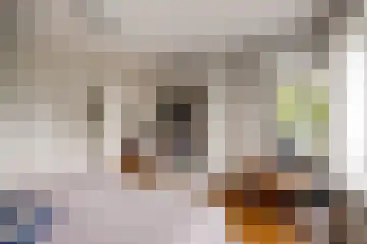 De Start 30 Leusden thumbnail 19