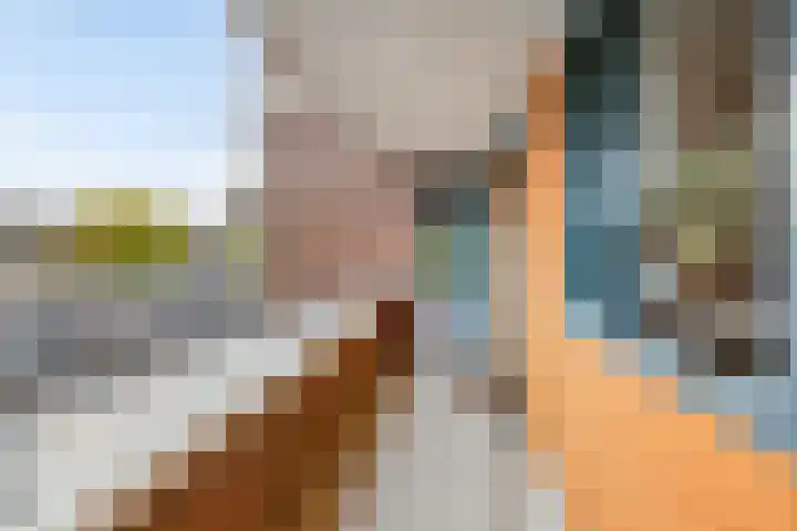De Start 30 Leusden thumbnail 27
