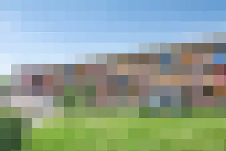 De Start 30 Leusden thumbnail 29
