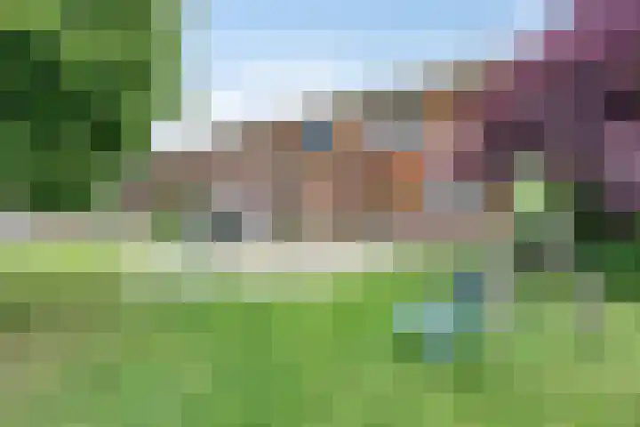 De Start 30 Leusden thumbnail 30