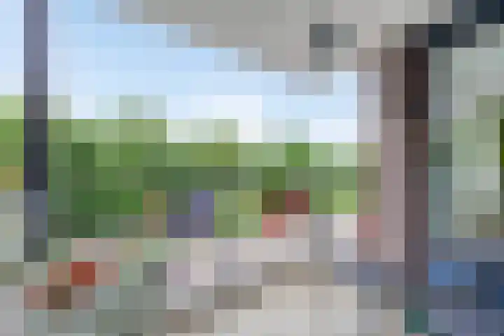 De Start 30 Leusden thumbnail 8