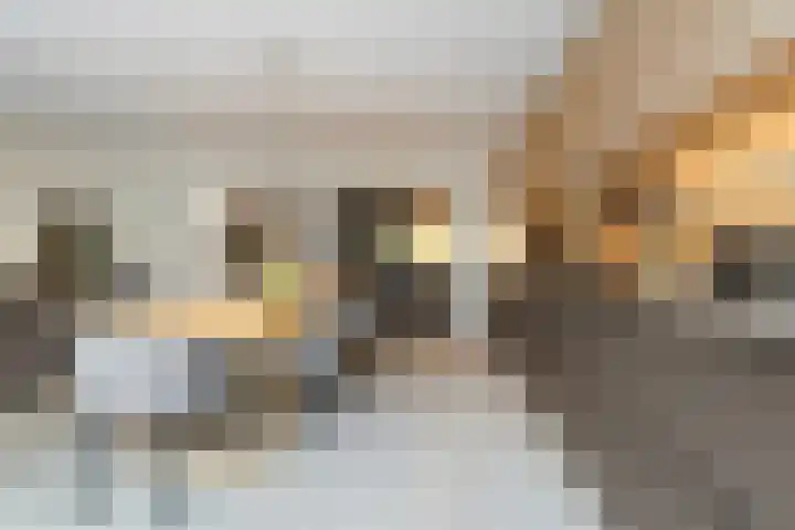 De Statie 5 Vlijmen thumbnail 13