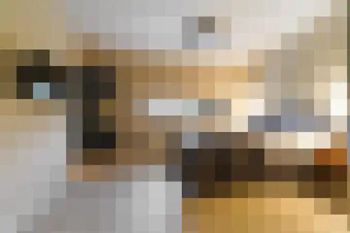 De Statie 5 Vlijmen thumbnail 16